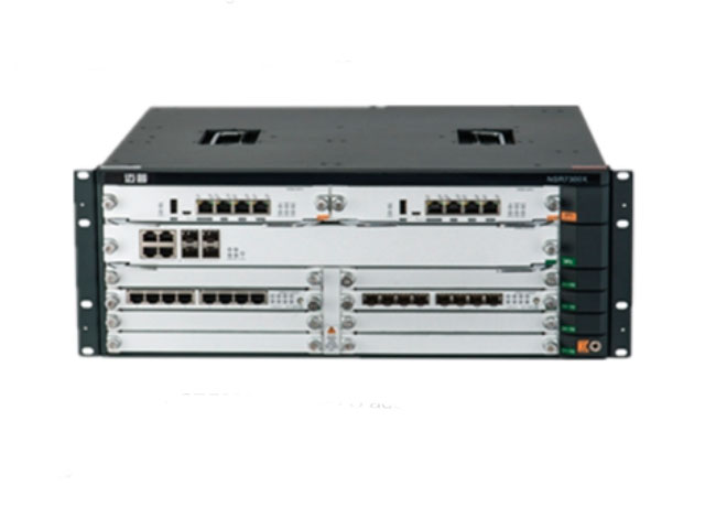 NSR7300X-08 MPLS NSR7300X-08 MPLS